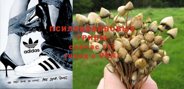 ешки Заводоуковск