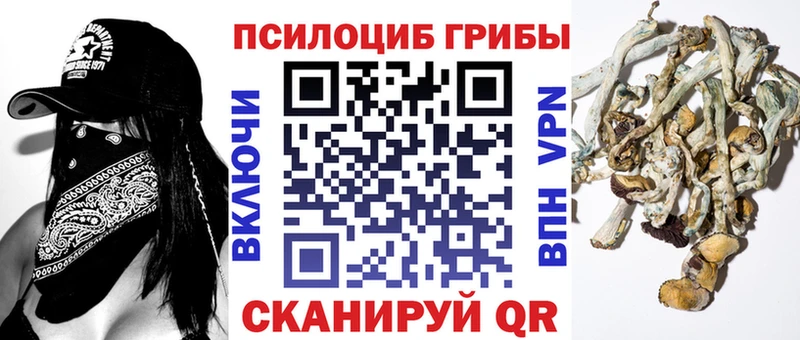 Галлюциногенные грибы мухоморы  Купить  Ермолино 